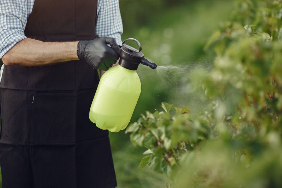 Kézi permetező, 5 liter